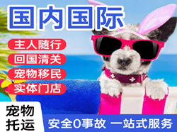 黔江武陵山机场快运国际宠物托运 【国